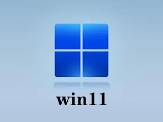 win11家庭版和專業版的區别？